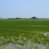 Thumbnail of related posts 123
