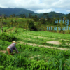 Thumbnail of related posts 085