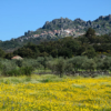 Thumbnail of related posts 027