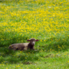 Thumbnail of related posts 178