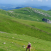 Thumbnail of related posts 125