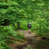 Thumbnail of related posts 161