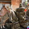 Thumbnail of related posts 146
