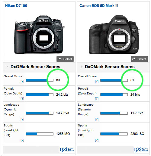 Nikon D7100とCanon EOS 5D Mk3との画質比較