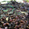 Thumbnail of related posts 079