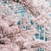 Thumbnail of related posts 073