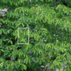 Thumbnail of related posts 090