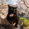 Thumbnail of related posts 048