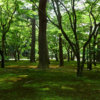 Thumbnail of related posts 097