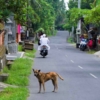 Thumbnail of related posts 071