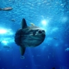 Thumbnail of related posts 174