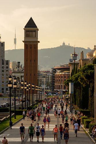 カタルーニャ美術館への道