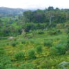 Thumbnail of related posts 183
