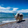 Thumbnail of related posts 014