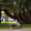 Thumbnail of related posts 149