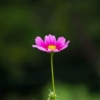 Thumbnail of related posts 060