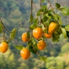 Thumbnail of related posts 154
