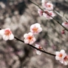 Thumbnail of related posts 144