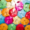 Thumbnail of related posts 062