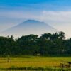 アグン山の噴火は一旦終了。バリ島らしい田園風景を歩いてランチしてきた