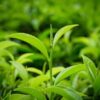 Thumbnail of related posts 095