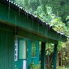 Thumbnail of related posts 079