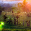 Thumbnail of related posts 169