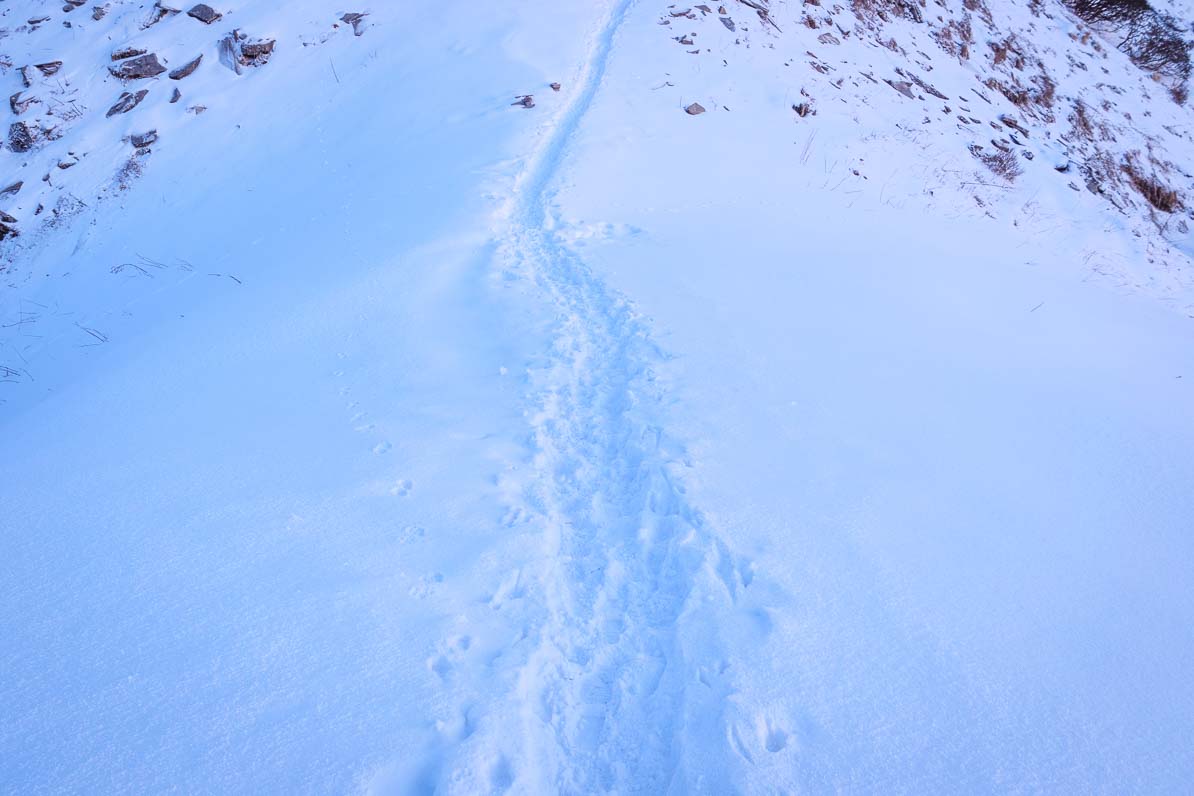 雪の上を歩く