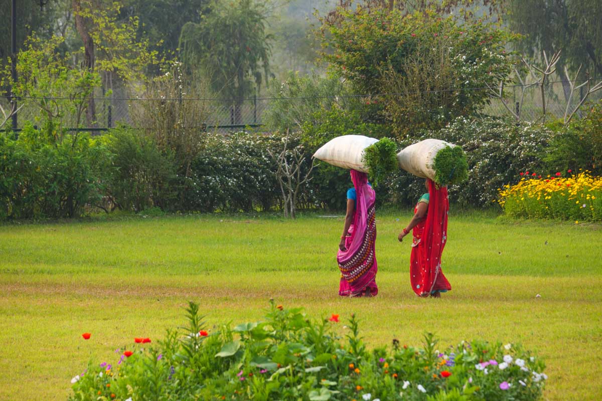 インド人の働く女性