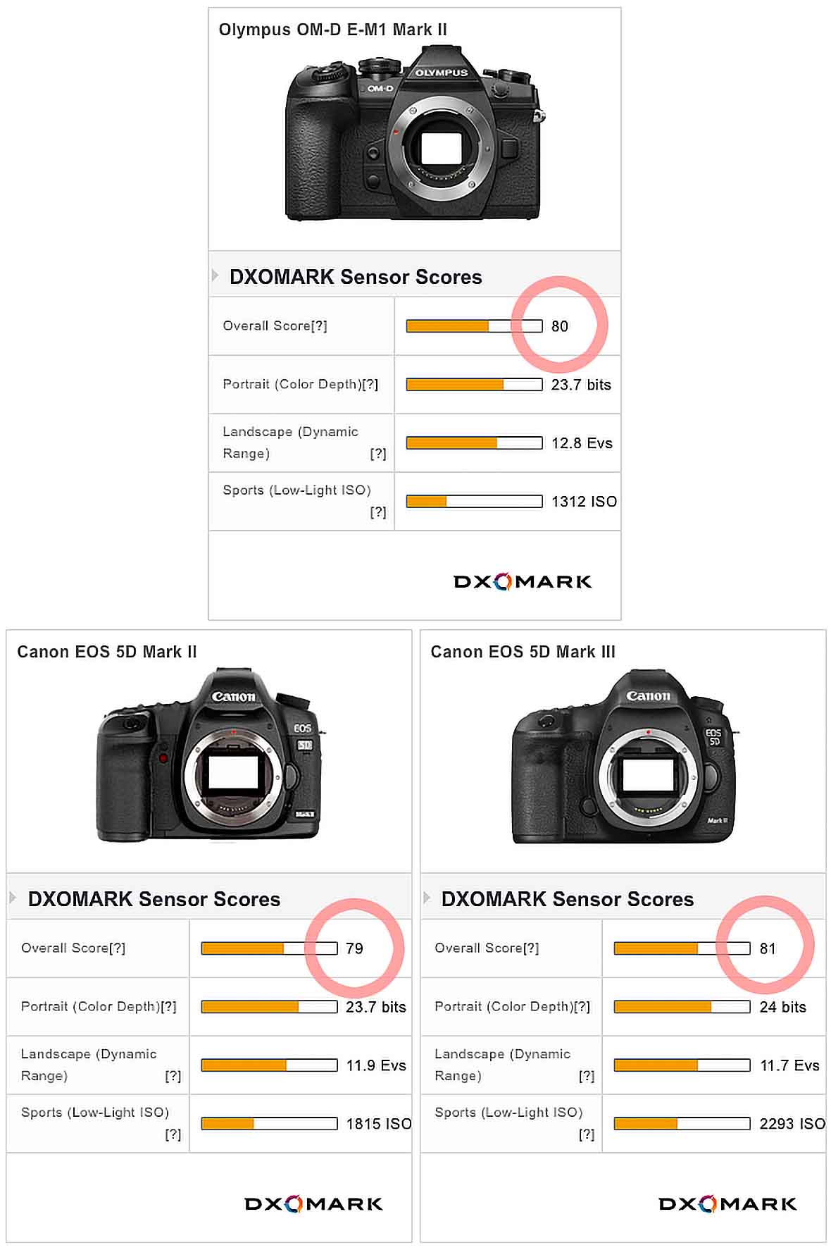 OM-D EM-1のセンサーはキヤノンのフルサイズセンサーと性能は同等である