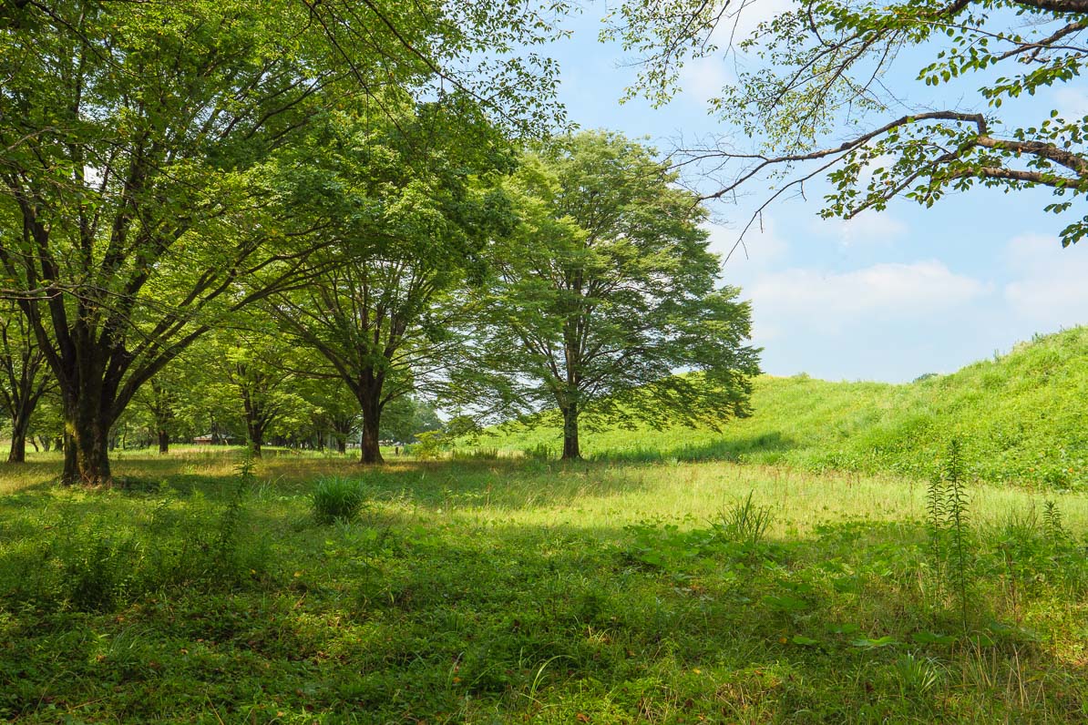 平日は訪れる人も少ない、さきたま古墳公園