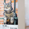 Thumbnail of related posts 081