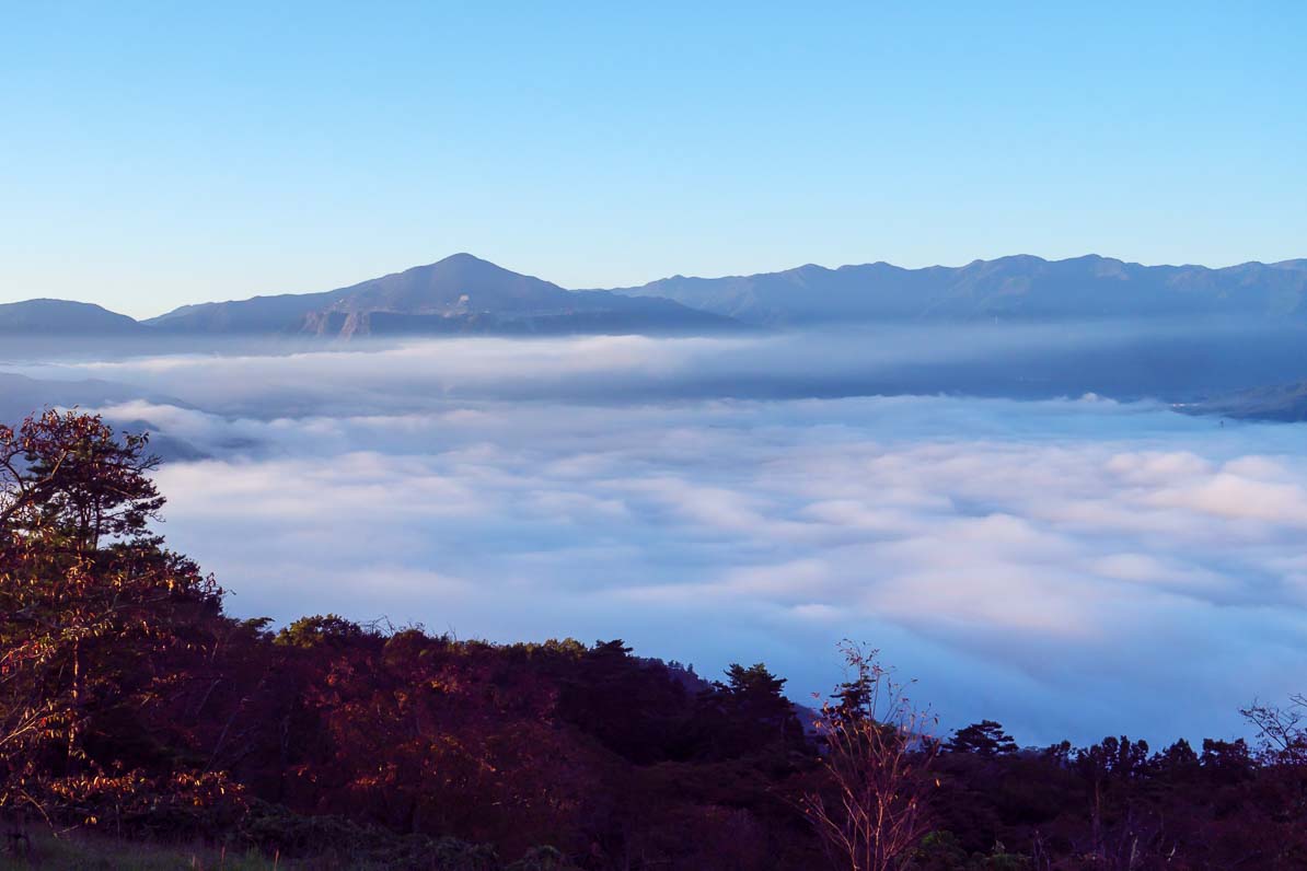 秩父市の美の山公園から見た朝日が差しこむ雲海