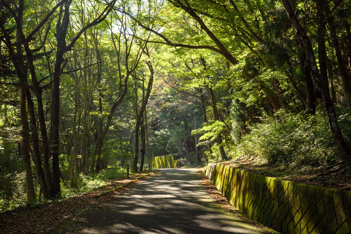 秩父市の美の山公園への自動車道路