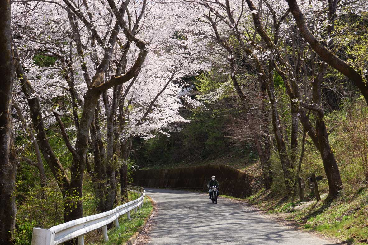 美の山ハイキングコースと自動車道路が交差している