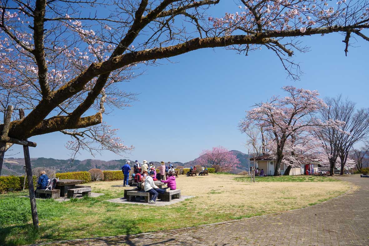 美の山公園の頂上の公園