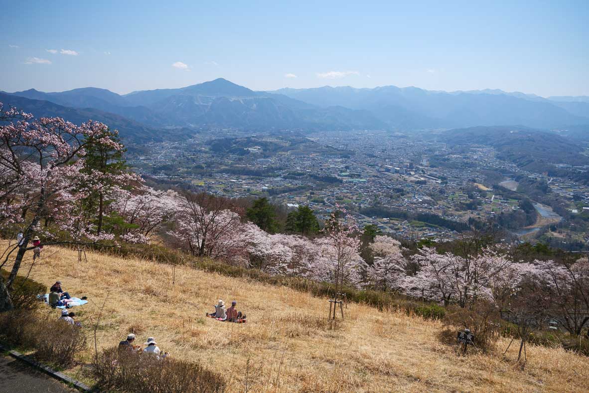 美の山公園の頂上から見た武甲山と秩父市の街並み