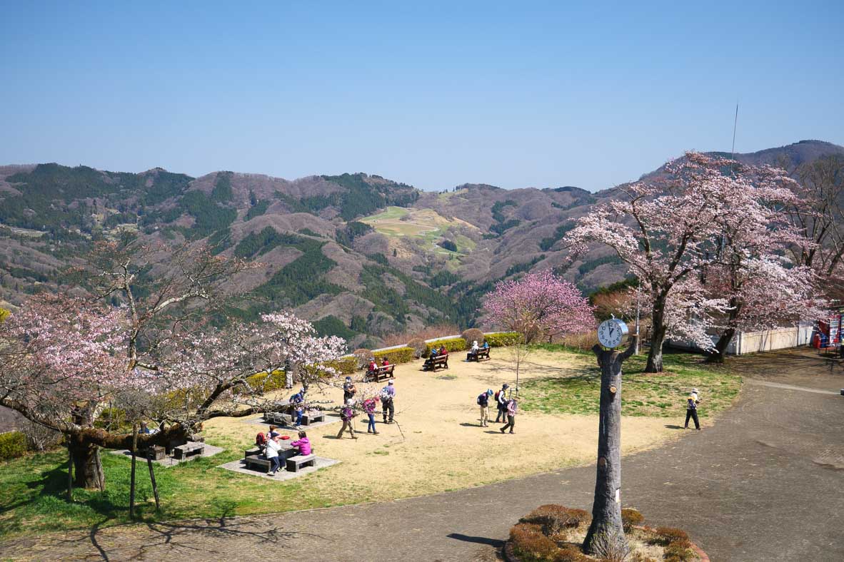 美の山公園の頂上の公園