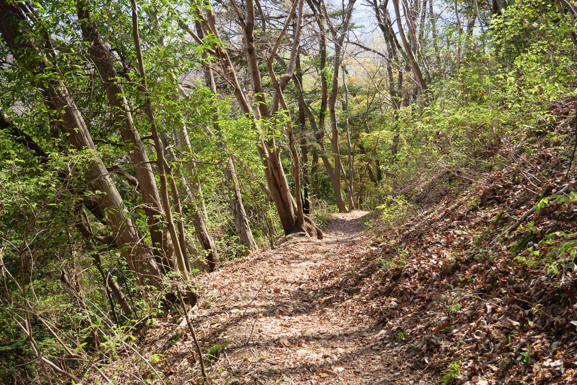 美の山公園の頂上から黒谷へ下山する道