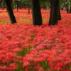 Thumbnail of related posts 073